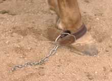 AD Kicking Chain - Single