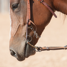 Sherry Cervi Diamond Long Shank