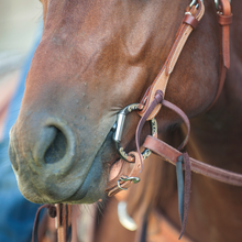 Sherry Cervi Diamond Dee Ring Snaffle