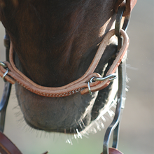 Harness Leather Curb Strap